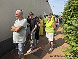 Zandlemig Vlaanderen